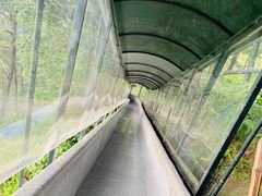 -龙湾潭国家森林公园