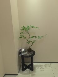 点击看大图 -深圳鹏爱秀琪医疗美容医院