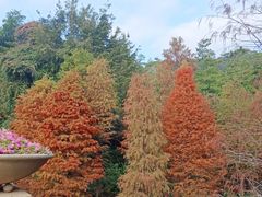 -云溪植物园
