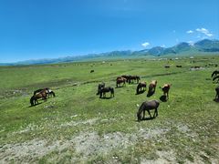 -新疆那拉提国家旅游度假区