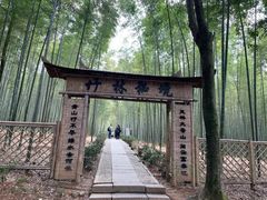 -大奇山国家森林公园