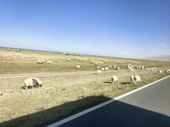 -青海湖国家重点风景名胜区