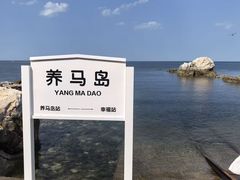 -养马岛旅游度假区