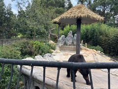 -云南野生动物园