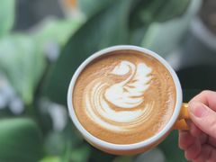 -隹木咖啡馆(宝龙广场店)