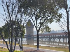 -九龙湖公园