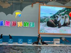 -蓬莱欧乐堡海洋极地世界