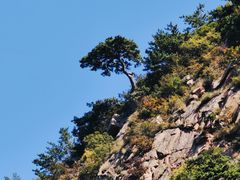 -雪帽山风景区