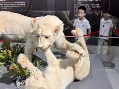 -厦门诚毅自然探索馆