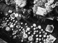 -上海市世外小学