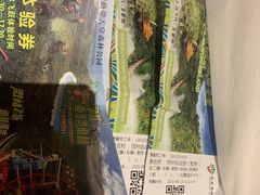 -亚龙湾热带天堂森林公园