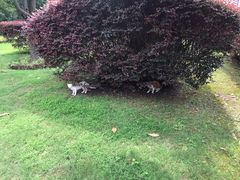 -金桥现代产业园区-停车场