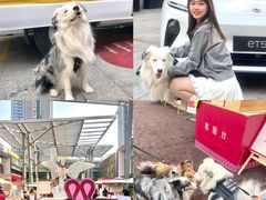 -OCT PARK欢乐时光