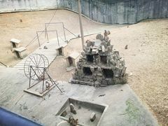 -平湖九龙山旅游度假区