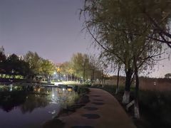 -前关湿地公园