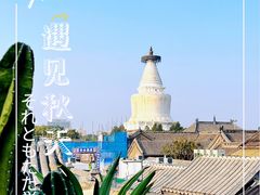 -妙应寺白塔
