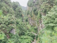 -苍山感通索道