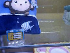 -大玩家(中原万达广场店)