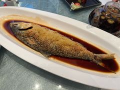 -新雅粤菜馆(南京东路店)