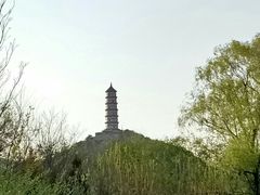 -北坞公园