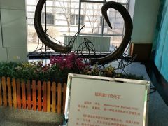 -吉林省自然博物馆