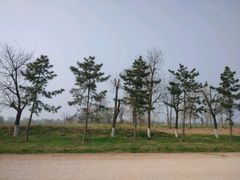 -汉长安城未央宫国家考古遗址公园