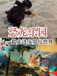 -恐龙探索乐园(磁器口店)