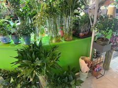 -北京华联生活超市(北京常营店)