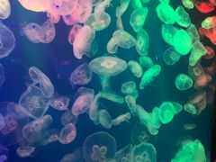 -成都浩海立方海洋公园