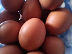 -国商百货(卫星广场店)