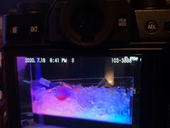 -福州泰禾铂尔曼酒店·大堂酒廊