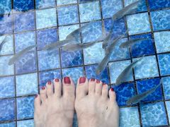 -清泉湾生态旅游度假区