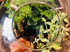 -北京三里屯CHAO酒店