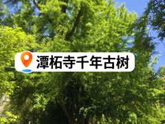 -潭柘寺景区