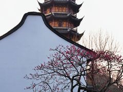 -红梅公园