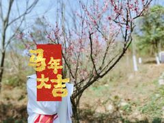 -游子山休闲旅游区