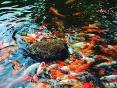 -厦门日月谷温泉渡假村