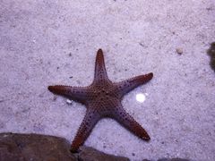 -多彩贵州城极地海洋世界