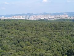 -灵谷景区