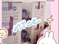 -骆驼日式搬家收纳整理
