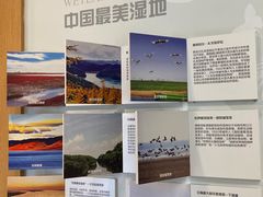 -下渚湖国家湿地公园科普馆