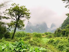 -冰泉豆浆馆(阳朔店)