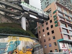 -李子坝梁山鸡(李子坝大鸡哥店)