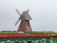 -广州市石门国家森林公园