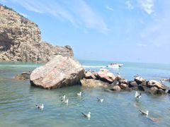-海驴岛(荣成市)