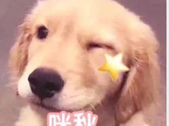 -汤乐汇•足道•SPA生活馆