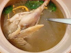 花螺鸡汤-神仙馆(衡山路店)