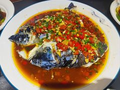 -全乐鱼馆·淳牌有机鱼直营店