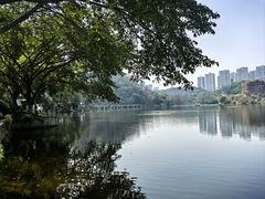-重庆彩云湖湿地公园