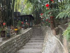 -竹海听涛生态山庄